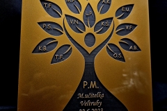 20230609_160418-225x300